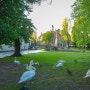 [벨기에 여행] 백조의 호수가 있는 로맨틱 동화 마을 - 브뤼헤(Belgium, Brugge)