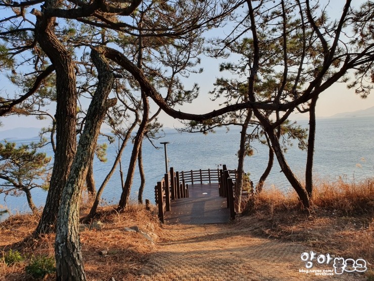 산책 & 데이트 장소로 좋은 예술의섬 장도 : 네이버 블로그