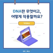 DNA란 무엇이고, 어떻게 작용할까요?