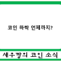 [코인뉴스]“5000불 깨졌다” 하룻새 40% 폭락한 비트코인, 패닉셀 언제까지?