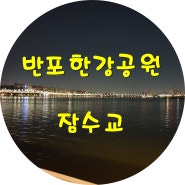 반포한강공원 잠수교 '나혼자산다' 화사 따라하기