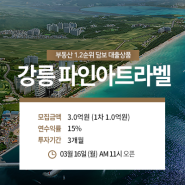 [제97호] 강릉 파인아트라벨 부동산 1,2순위담보 대출상품(3개월/연15%/리최대3%)