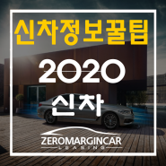 2020 신차 소식 정리 및 경제적 활용 꿀팁!(BMW 530e..)