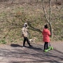[공원]은구비공원에서 강아지와 함께 봄햇살 맞기