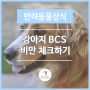 송파역동물병원 강아지 BCS! 비만 체크하는 방법?
