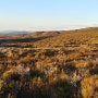 뉴질랜드 지질과 형성과정 : 곤드와나대륙 질랜디아대륙 태평양판 오스트레일리아판 알파인단층