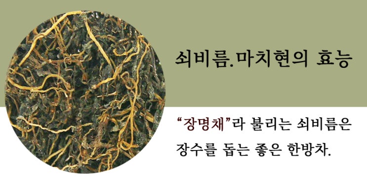 쇠비름 장수를 돕는 한방차 : 네이버 블로그