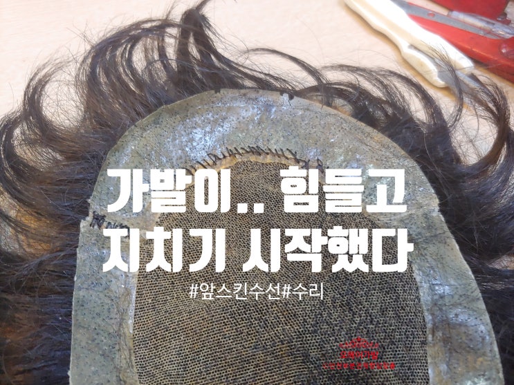 가발수선수리 전문 '지금! 나만의 고민 묻고 답하다' : 네이버 블로그