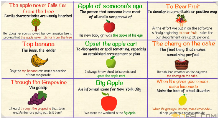 FRUIT IDIOMS 과일 영어 관용구3.apple,top banana,the cherry on the cake,through ...