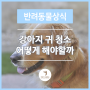 문정동추천동물병원 강아지 귀 청소 어떻게 해야 할까?