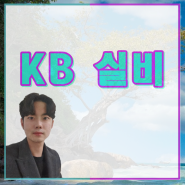 인상깊었던 KB실비보험