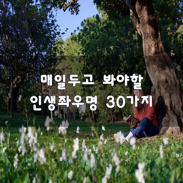 매일두고 봐야할 인생좌우명 30가지[자기계발/좌우명/인생명언/좋은글모음/명언모음/성공명언] : 네이버 블로그