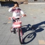 6살 네발자전거 로얄베이비 제니로 픽 - 내돈내산 :)