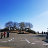 서울 하늘공원 :: 서울주말나들이 하늘공원에서 산책하기! 맹꽁이 열차타기, 메타세콰이어가로수길