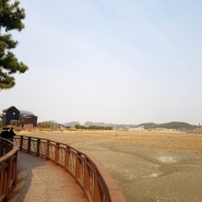 인천 소래 습지 생태공원