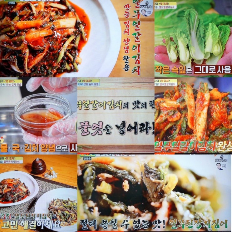 알토란 열무얼갈이김치 열무얼갈이겉절이 임성근 열무된장지짐이 : 네이버 블로그