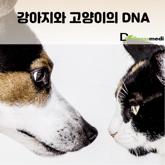 네이버 블로그 naver