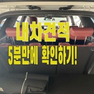 안산중고차 - 2019년형 팰리세이드 매입해온 후기