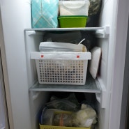 냉동실엔 뭐가 있을까?