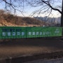 강화 지역 녹색당 정당 현수막 게시
