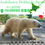[16편] 아사히야마 동물원에 가면 생기는 일 1부 : 홋카이도 북해도 4박5일 삿포로 아사히카와 현지인 여행 / 비에이 후라노 투어 북해도 가볼만한 곳