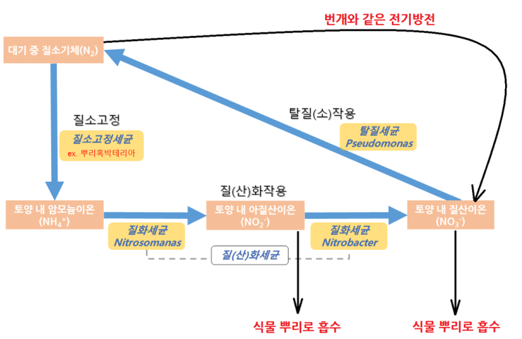 물질 순환 - 질소 순환(Nitrogen cycle)과 탄소 순환(Carbon cycle) : 네이버 블로그