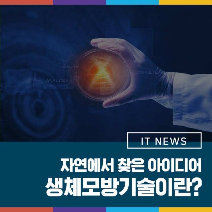 자연에서 찾은 기술!자연의 아이디어 생체모방기술 : 네이버 블로그