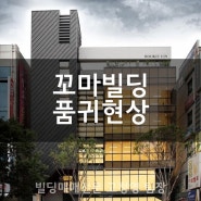 꼬마빌딩 품귀현상/빌딩투자/빌딩매매전문/빌딩매수/빌딩매도/강남꼬마빌딩