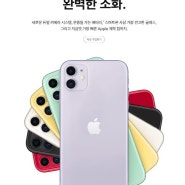 애플(Apple) 아이폰 11 공기계 자급제 최저가 구매찬스 카드 즉시 할인(14%) 행사