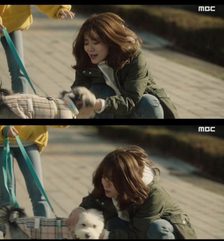 ‘365 운명을 거스르는 1년’ 강아지, 마루 견종은?…‘남지현의 소중한 애완견’ : 네이버 블로그