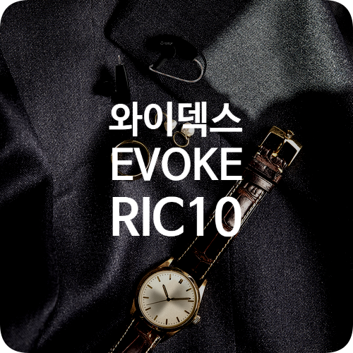 새로운 디자인, 와이덱스 EVOKE RIC10 : 네이버 블로그