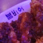 [강화도 호프집] 치킨 맛집 붐이어에서 시원한 맥주 한잔! 오케이? - 맛집 탐방 #72