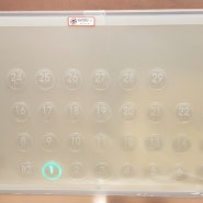 코로나 예방을 위한 엘리베이터 향균 필름