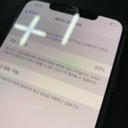 번개장터 아이폰xs max 256