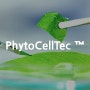피부의 세포 재생과 회복을 위한 식물 줄기 세포 PhytoCellTec™(피토셀텍)
