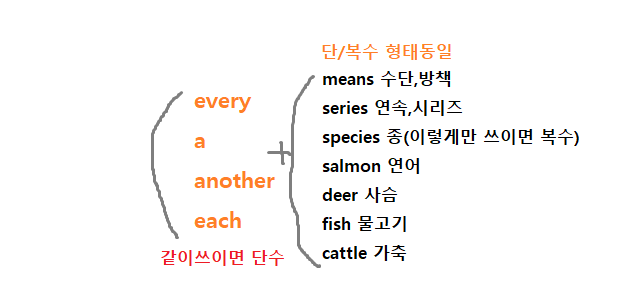 [영어] 명사(가산명사단수,가산명사복수,불가산명사,불가산명사 단위표현,정관사,부정관사) : 네이버 블로그