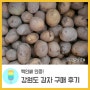 핵인싸 인증! 강원도 감자 구매해본 후기