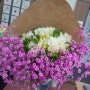 남원주 풀잎문화센터 봄꽃