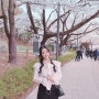 울산 언양 작천정 벚꽃 축제는 취소! 소박하게 즐기기