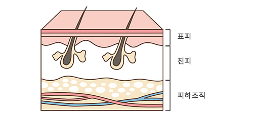 미용자격증 