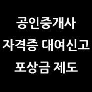 공인중개사자격증 대여, 무등록 개업공인중개사 처벌 및 포상금제도