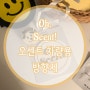 Oh, Scent! 오센트 차량방향제 후기 :-)