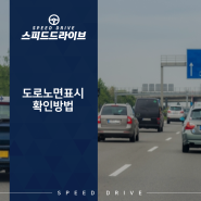 도로노면표시 초보운전 꿀팁 정보