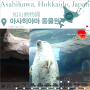 [17편] 아사히야마 동물원에 가면 생기는 일 2부 : 홋카이도 북해도 4박5일 삿포로 아사히카와 현지인 여행 / 비에이 후라노 투어 북해도 가볼만한 곳