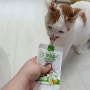 우리 빠바가 사랑하는 고양이 츄르간식 <<캣시피>>