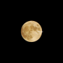 추석 보름달 소원빌기는 내일 다시 (2%부족해)- 둥근달은 10월 2일