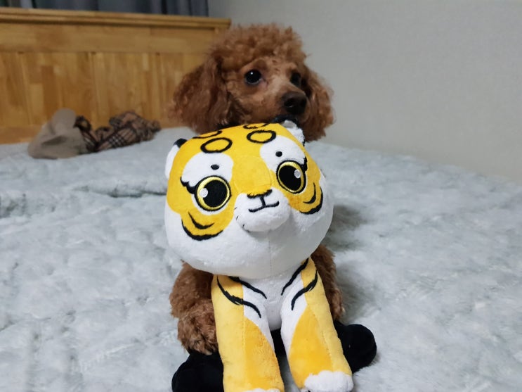 호랑이형님 굿즈 무케 인형 : 네이버 블로그