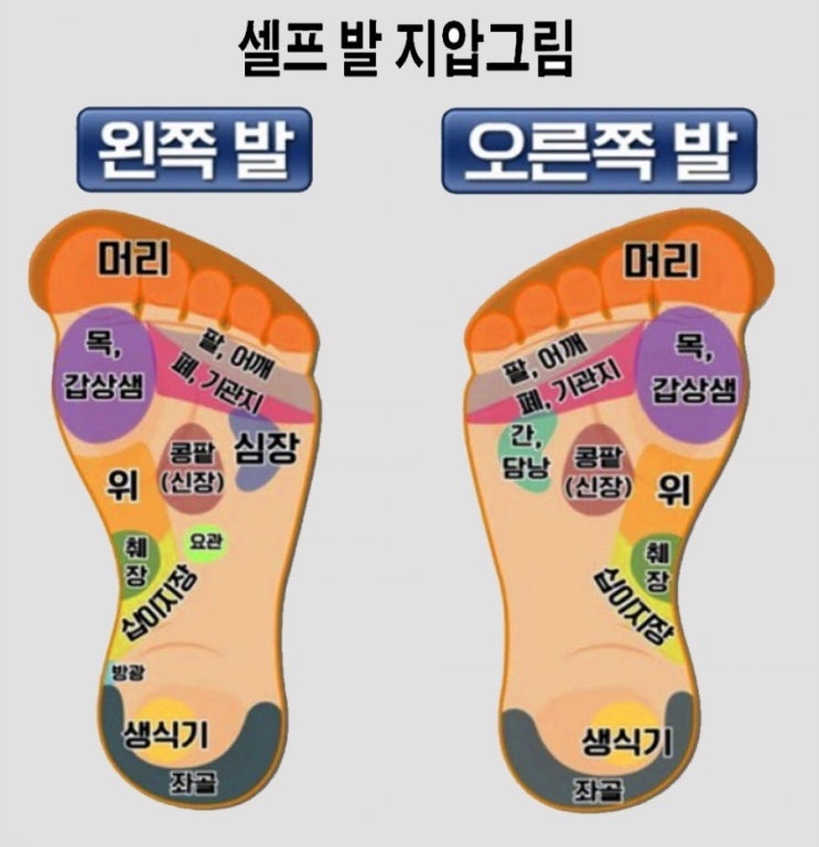 셀프 발지압점 : 네이버 블로그