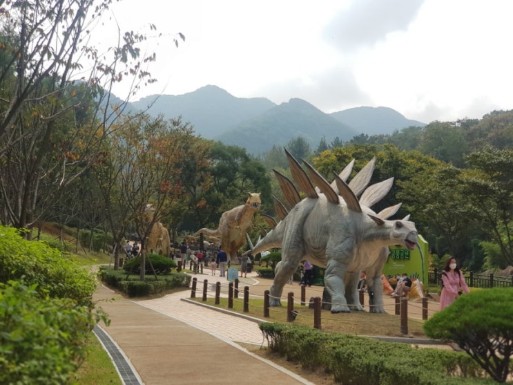숲 체험하기에 좋은 앞산 공룡공원. 대구가볼만한곳