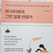 사춘기 아이 부모를 위한 책 : 왜 아이에게 그런 말을 했을까